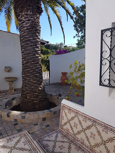 Bild Patio mit Palme