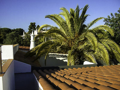 Bild Blick von der Dachterrasse