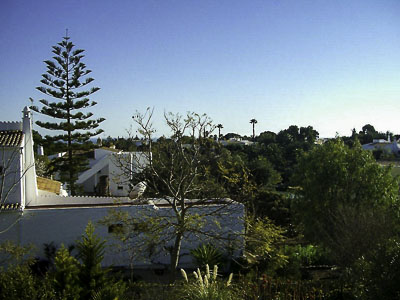 Bild Blick von der Dachterrasse