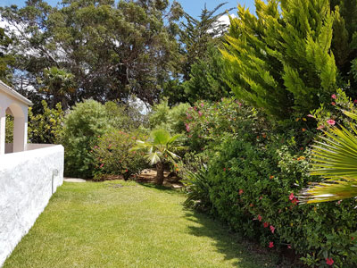 Bild Blick in den Garten