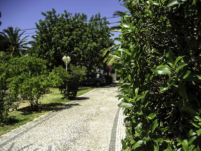 Bild Einfahrt mit Blick zum Haus